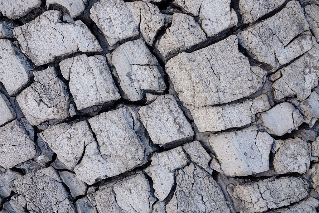 close,up,of,crack,soil,and,muddy,in,the,dry